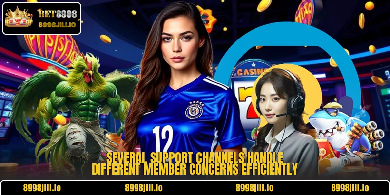 Several support channels handle different member concerns efficiently
