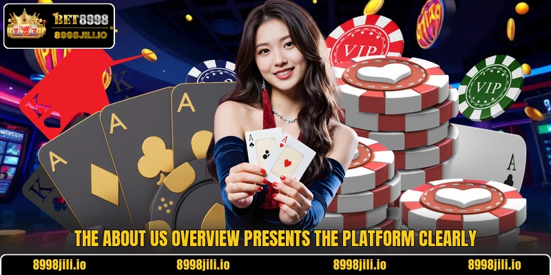 The about us overview presents the platform clearly The about us overview presents the platform clearly
